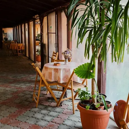 Verona Sobe * Palic